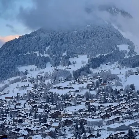 Apartment Wef Large Alpine-style Executive Easy Access To Congress *
