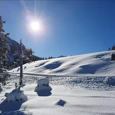 Apartment Wef Large Alpine-style Executive Easy Access To Congress